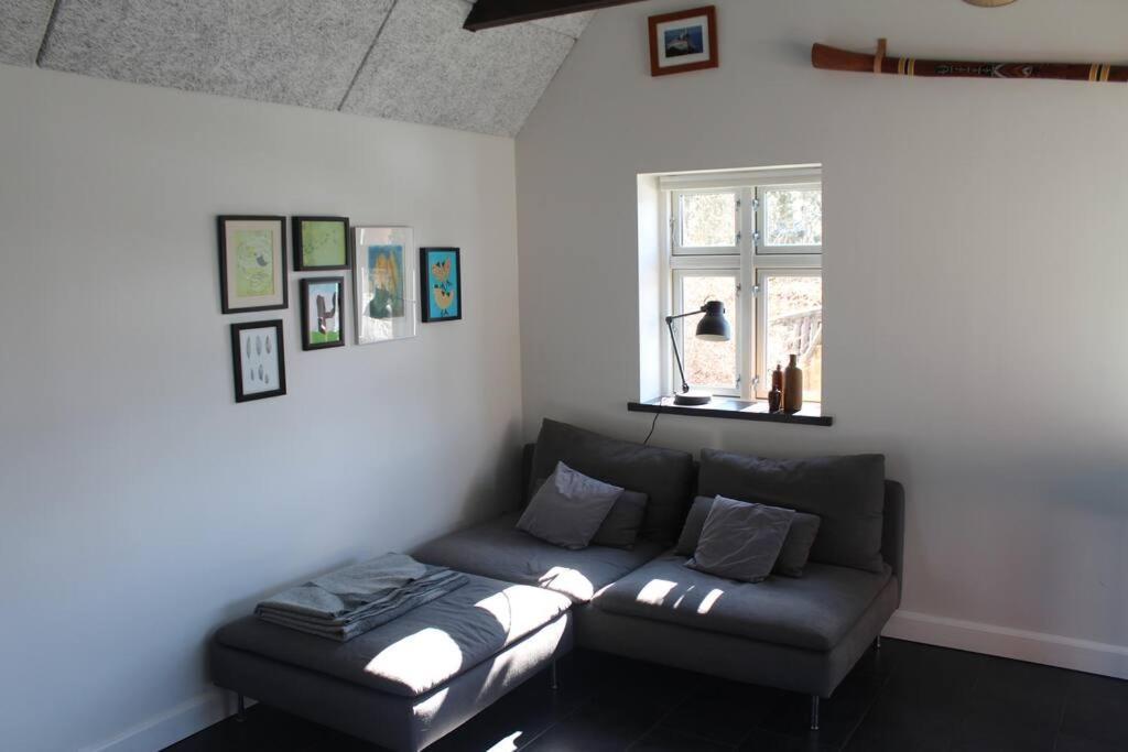 Large Modern Family Room - “Arnely” Tommerup Exteriér fotografie